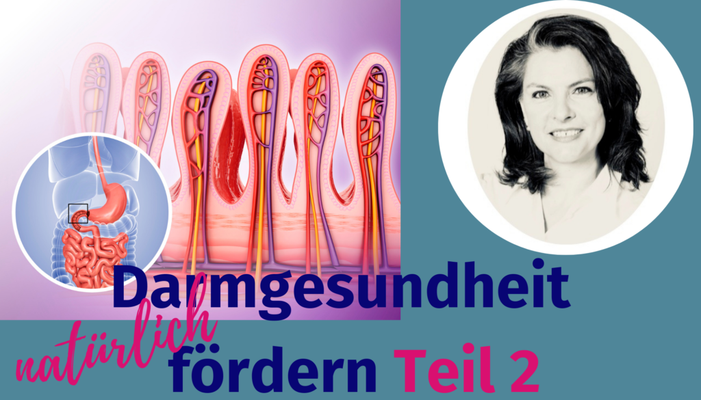 Darmgesundheit fördern